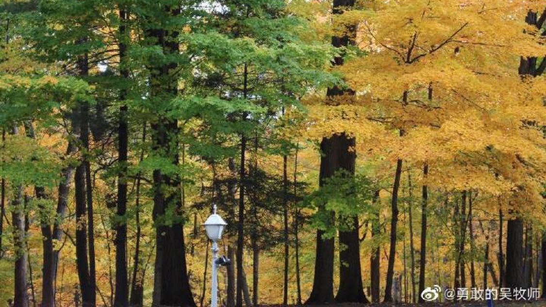 抖音宠粉24小时自助下单：自助下单优惠活动实时更新